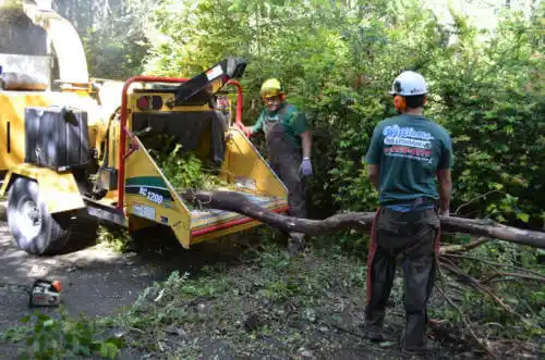 tree services New Hartford Center